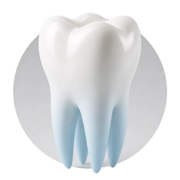 Dinte — chirurgie dentară